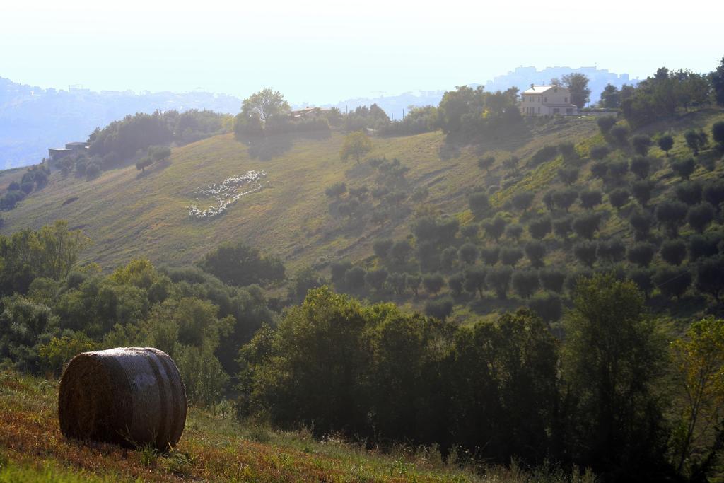 Agriturismo Fara Hotell Montegiorgio Eksteriør bilde